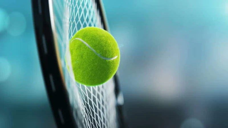Những quy định trong cược tennis mà hội viên cần ghi nhớ