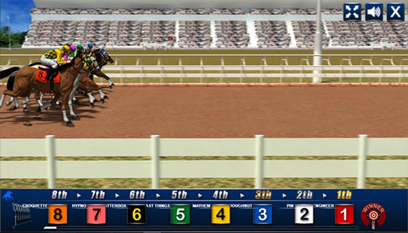 How to bet on horse racing with jiliasia